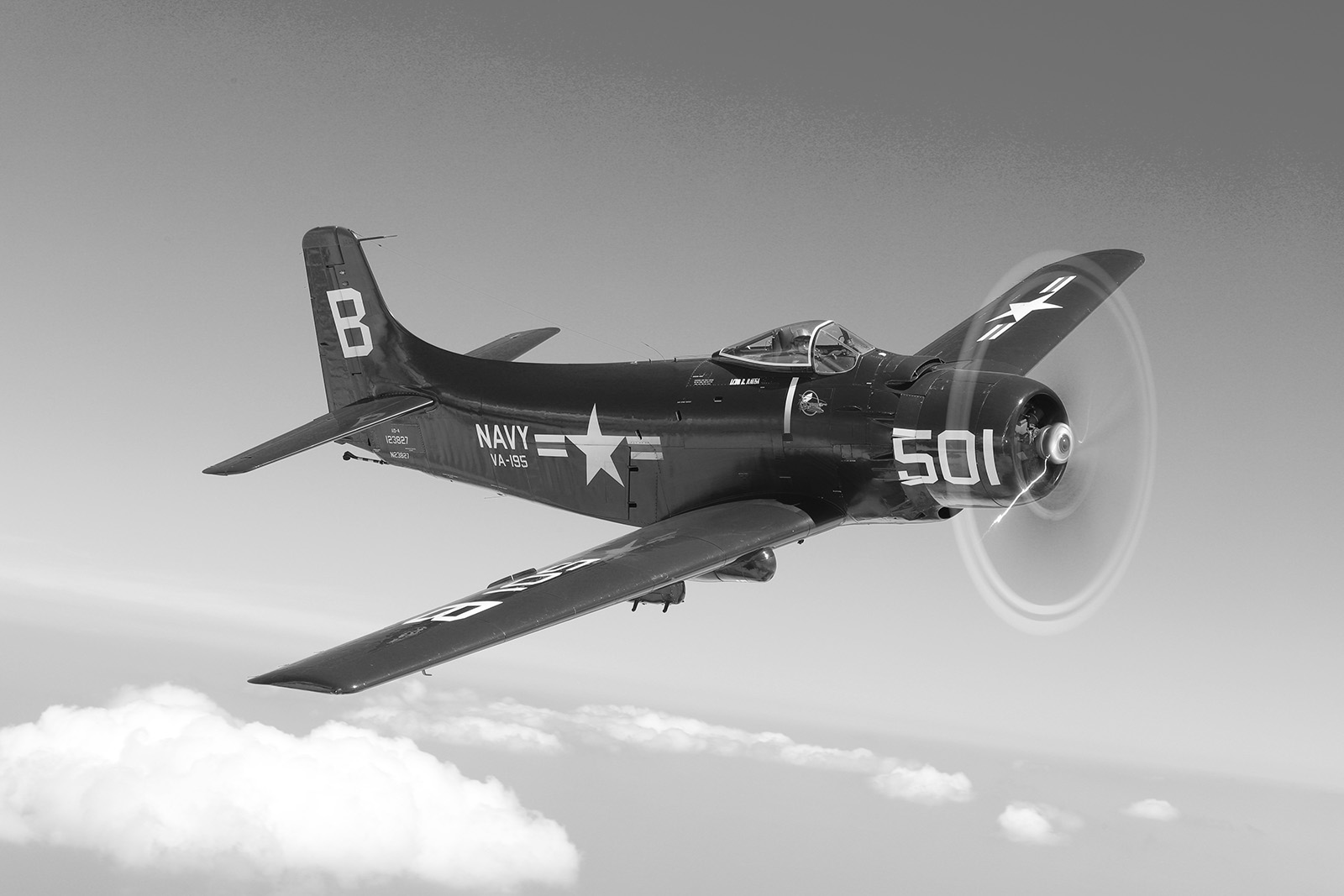 Skyraider background BuW 1600